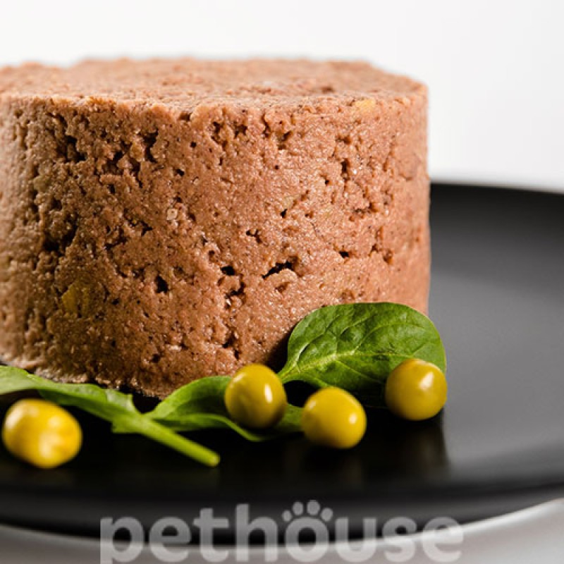 Savory Dog Adult Beef